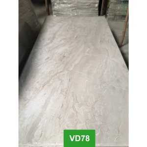 Tấm Nhựa PVC Giả Đá ĐN - VD78