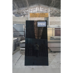 Ván Nhựa Phủ PETG – FPE5C